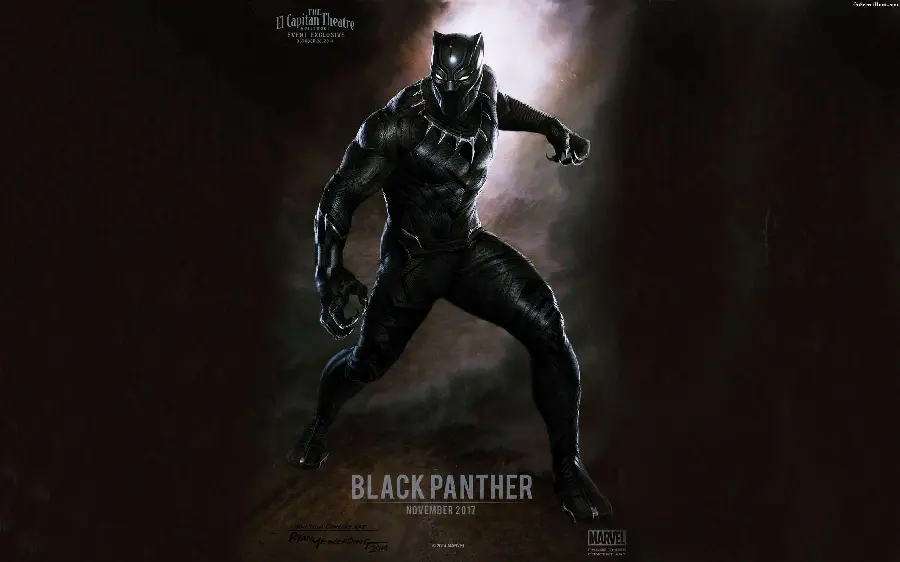 Black Panther Photo in Avengers