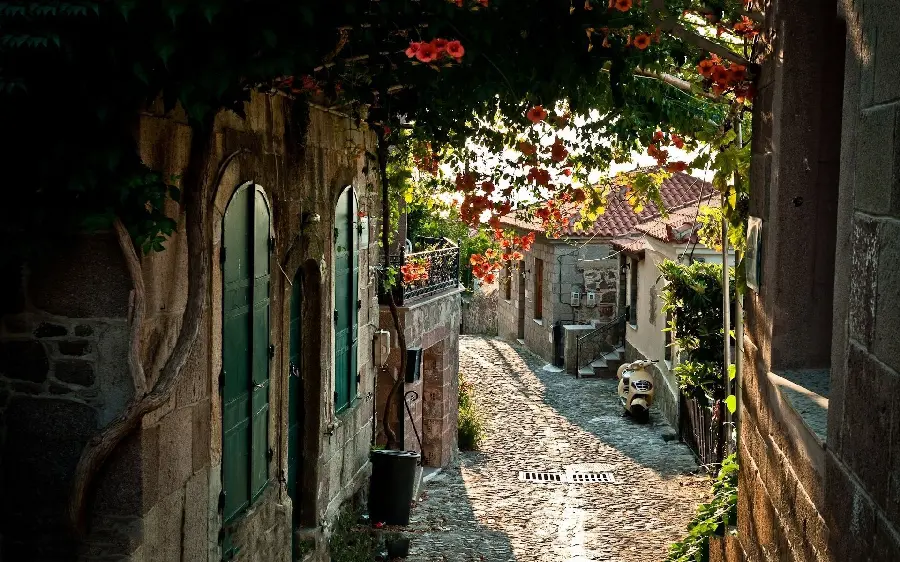 Narrow cobblestone Italian street with flowers growing on the wall