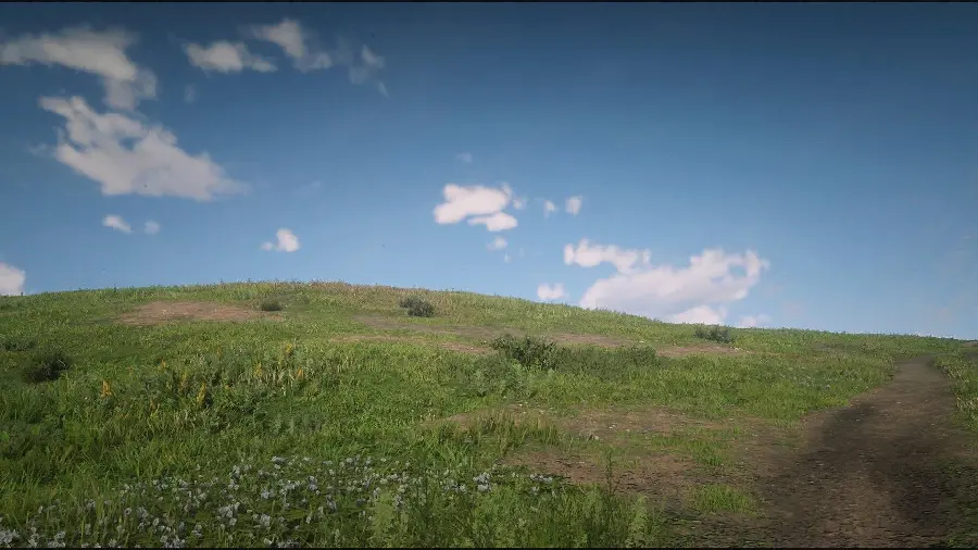 Windows XP real picture