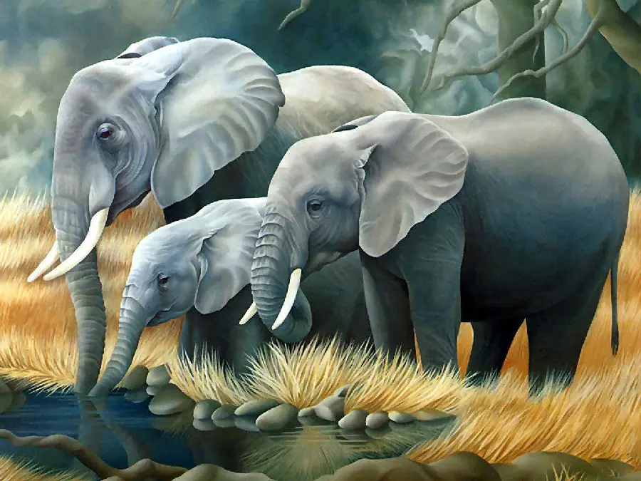 3D Drawing of Elephant Family Drinking Water
