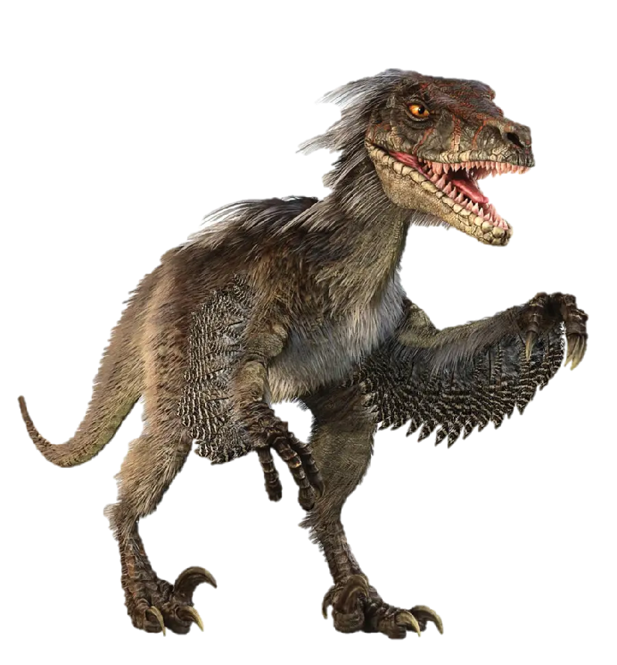 Bird Dinosaur PNG Wild