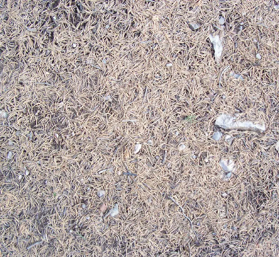 Earth material and natural features