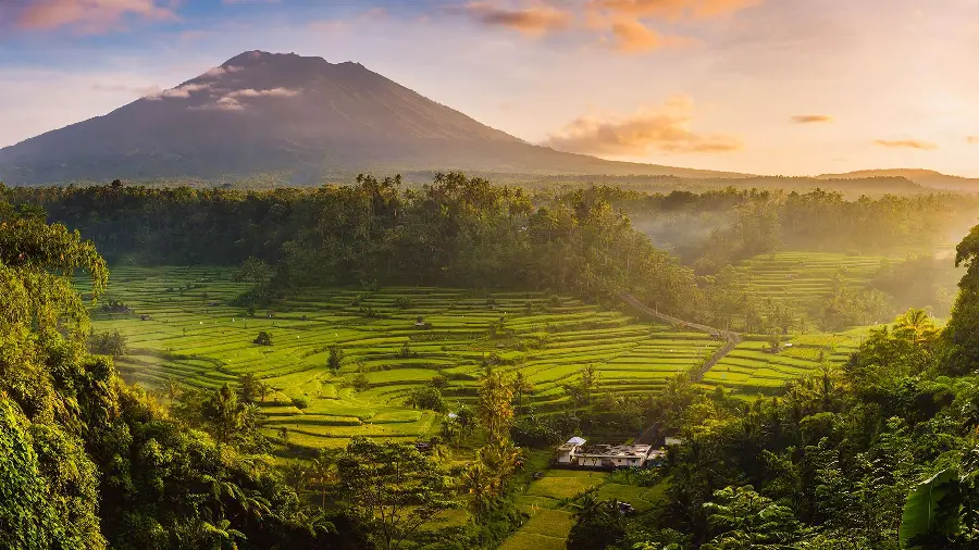 Free download wallpaper of lush nature of Bali in high quality 8k