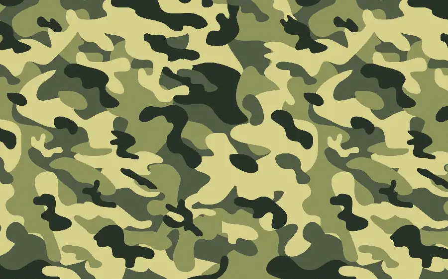 High Quality Military Camouflage Texture Photo for Free Download