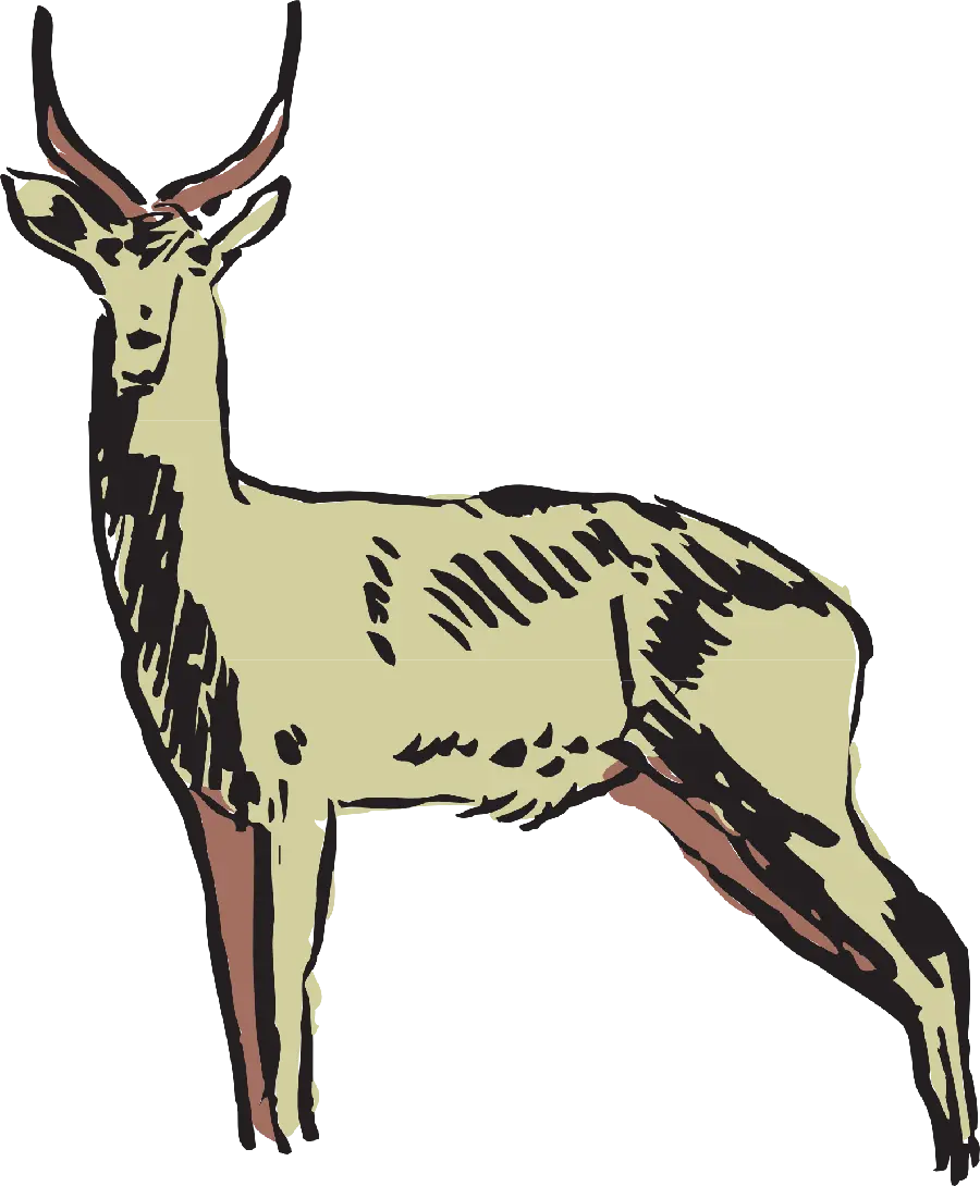 PNG drawing of Ahu or Ghazal