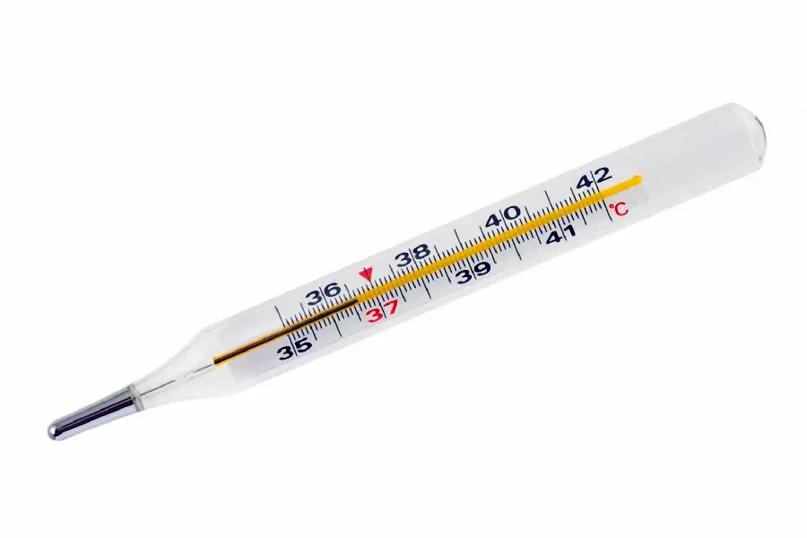 High quality photo of a medical thermometer