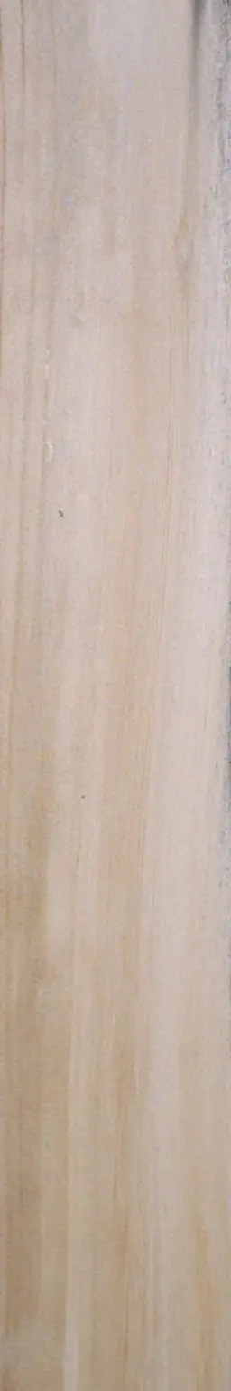Wood plank