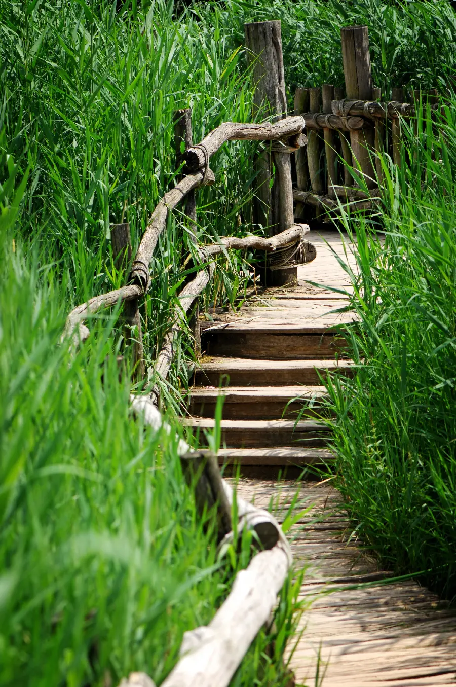 Real Nature Photo