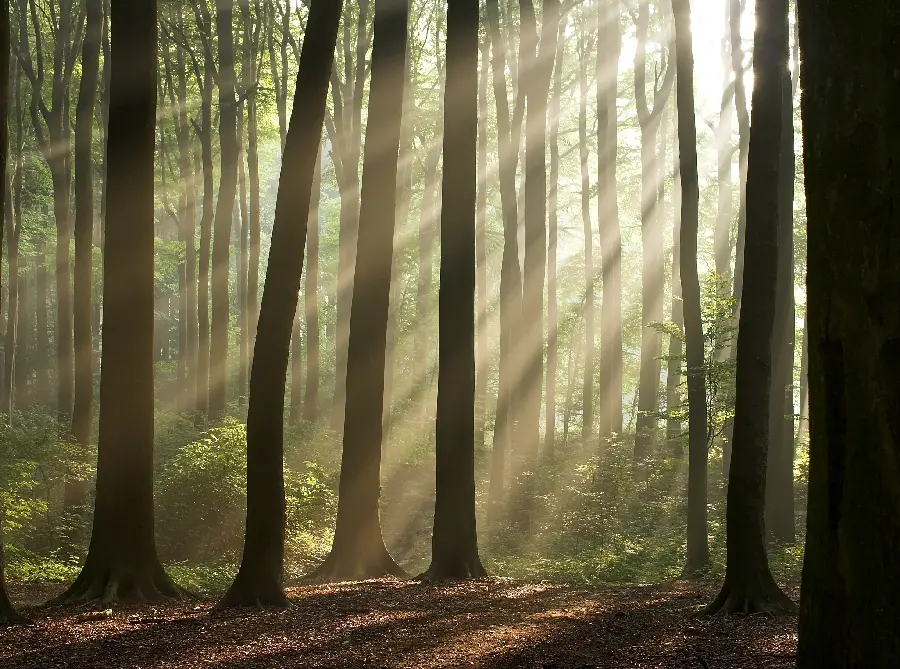 Beautiful and dreamy nature photos
