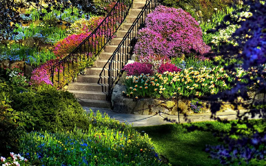 Spring