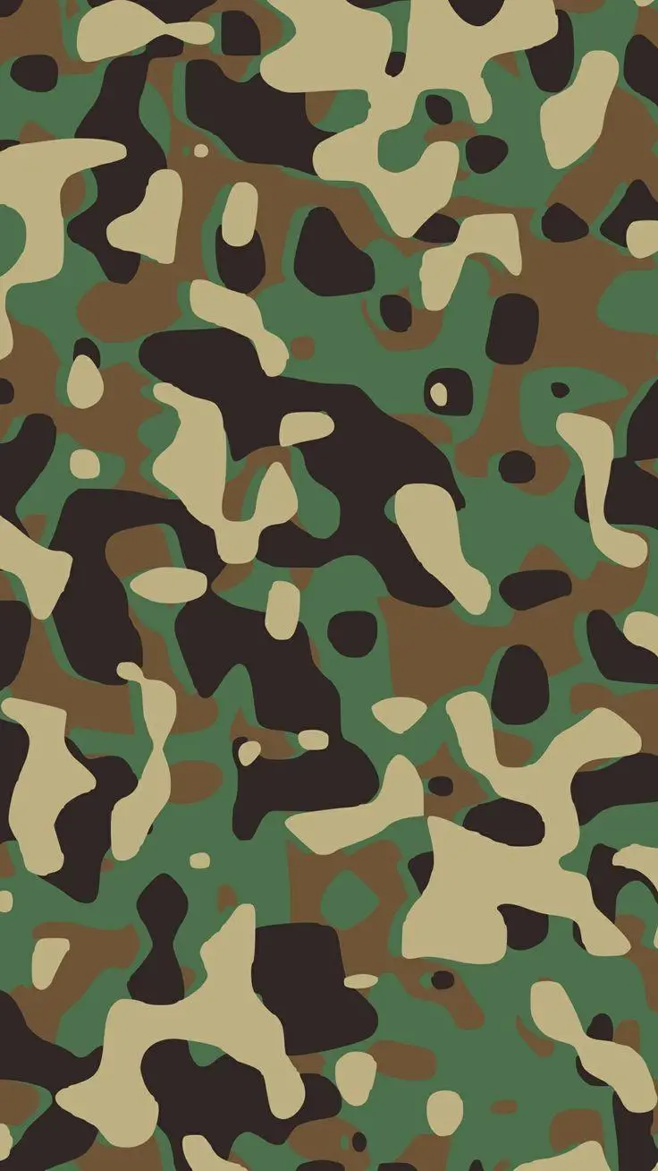 Simple Military Camouflage Background with Quality