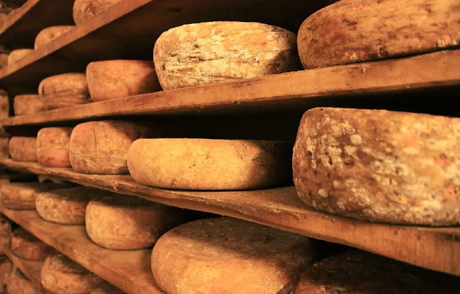 Photo of Italian cheeses on the shelf