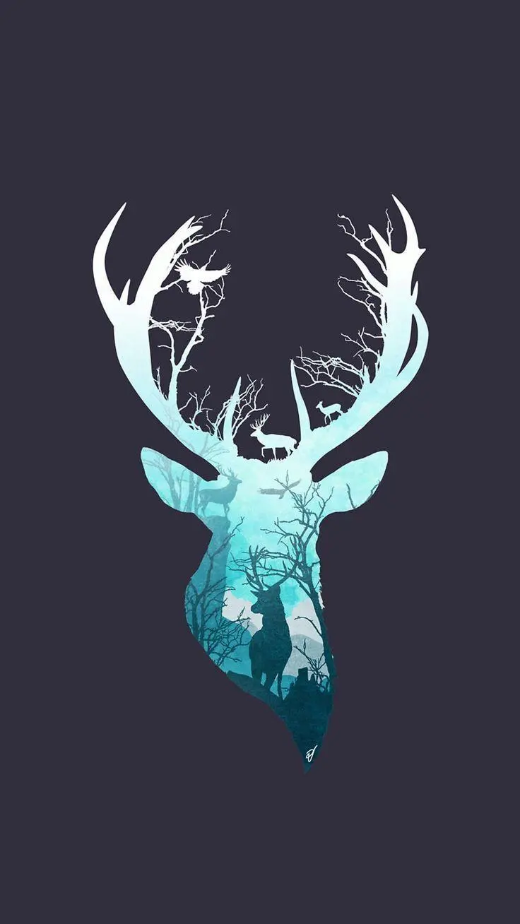 Interesting wallpaper of forest animals and wild deer with horns on black background