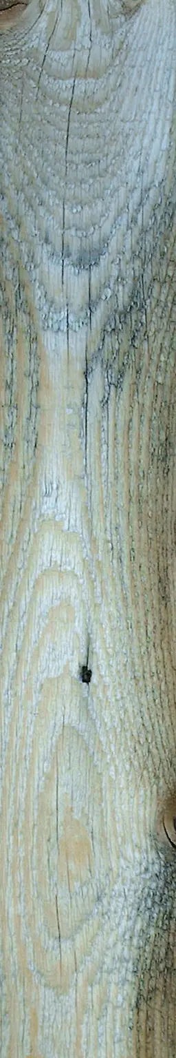 Board wood