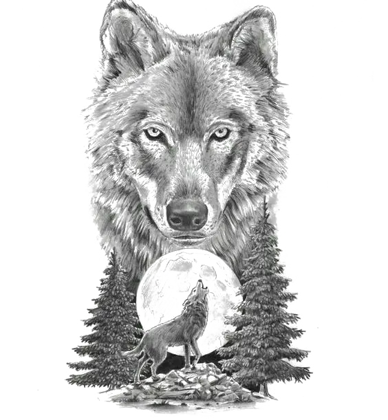 Professional and creative painting of a black and white wolf PNG