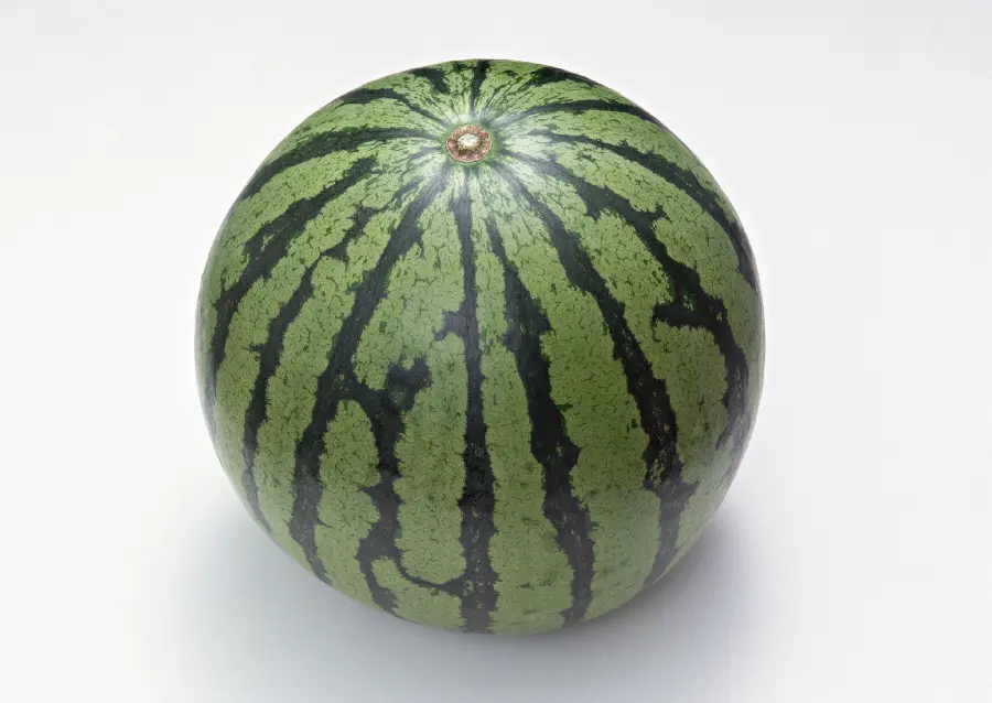 Summer Watermelon Profile Picture