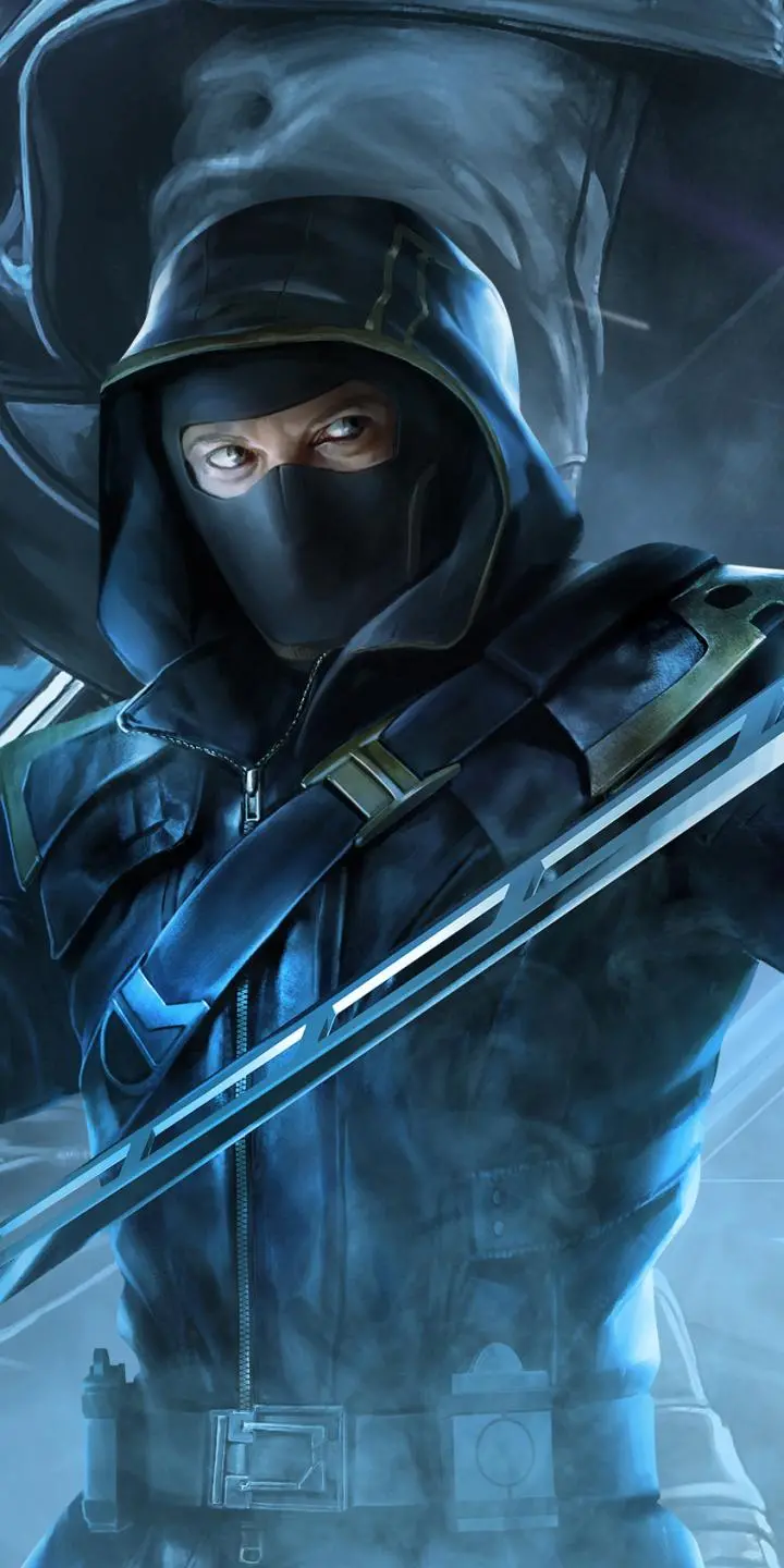 Ronin Wallpaper