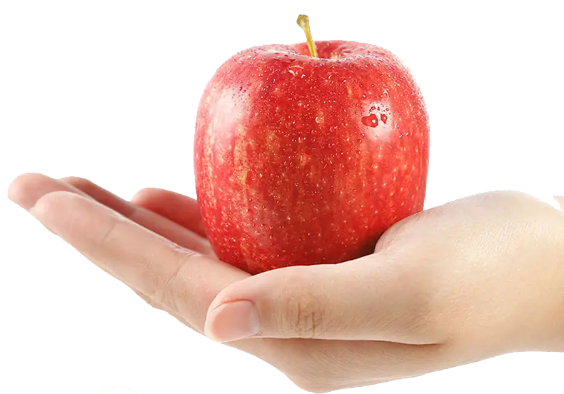 Single Apple PNG
