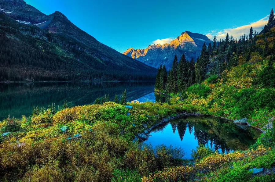 Photo of a wonderful lake view next to the forest and mountains