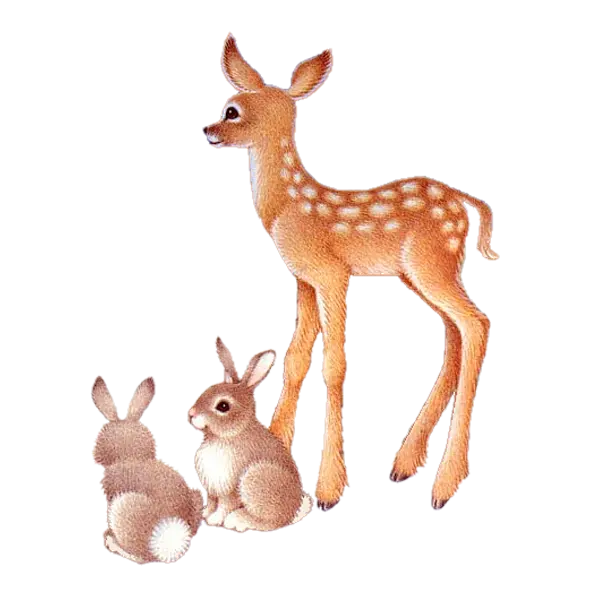 PNG drawing of a deer with a rabbit without a background for printing