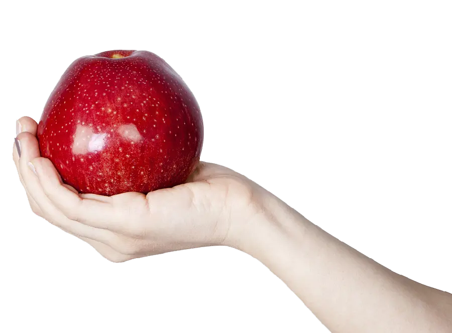 Big Red Apple in Hand Photo png for Photoshop
