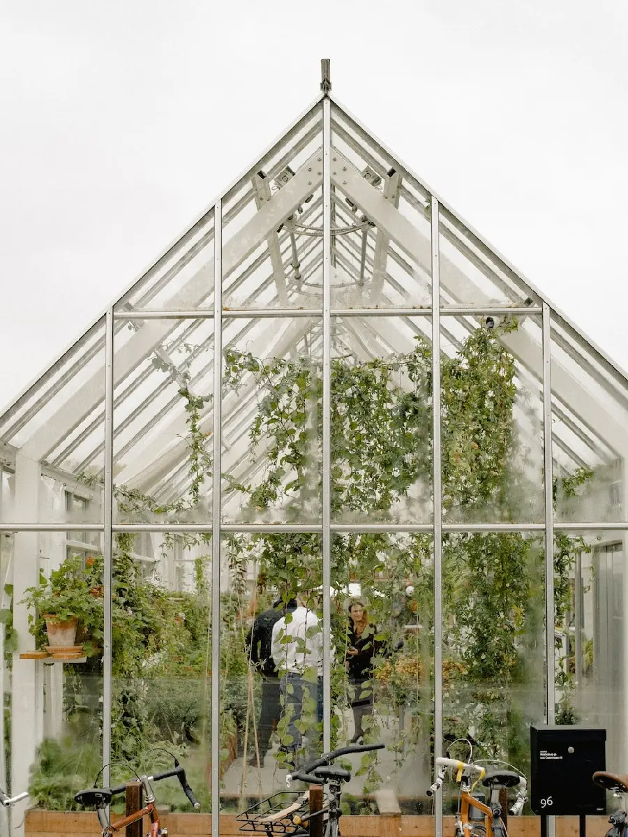Photo of a greenhouse with a glass roof and walls