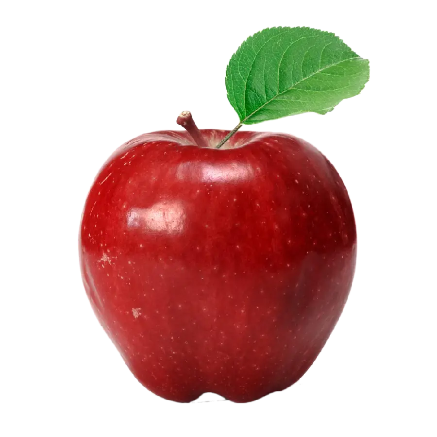 PNGSingle Apple