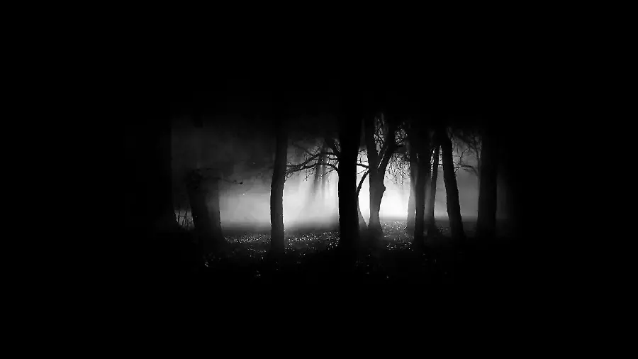 Black Photo for Condolence
