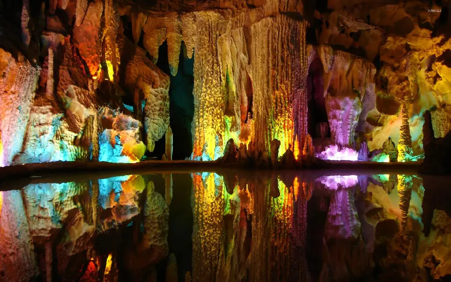 Photo of a natural cave with hanging water lilies
