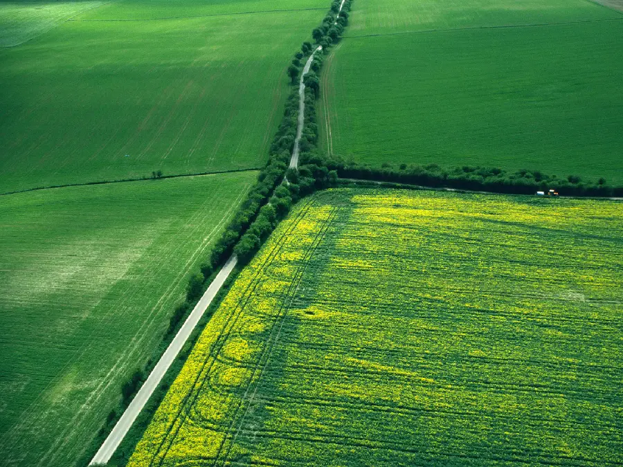 Road
