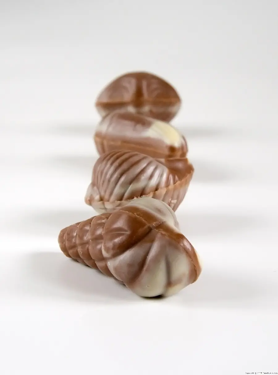 Stock photo of chocolate and cocoa