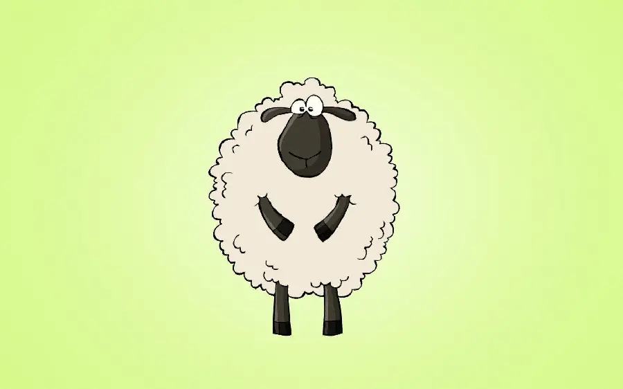 Cartoon drawing of a sheep on a green background