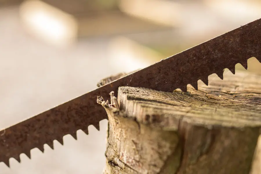 High quality photo of a carpenter sawing for download