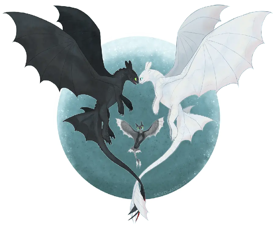 Black and white male and female dragon photo together and PNG format