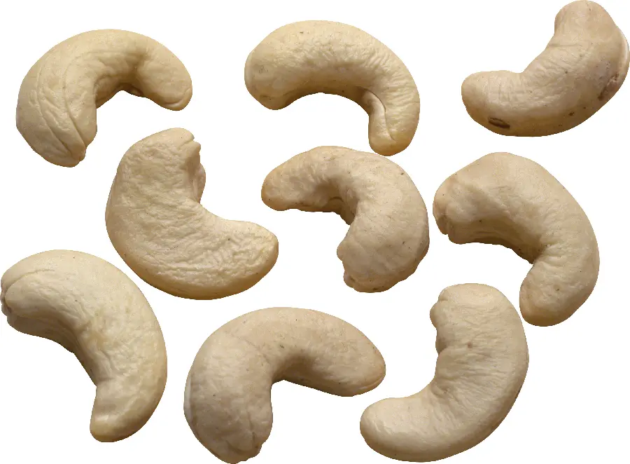 Cashew nut photo for advertising and sales