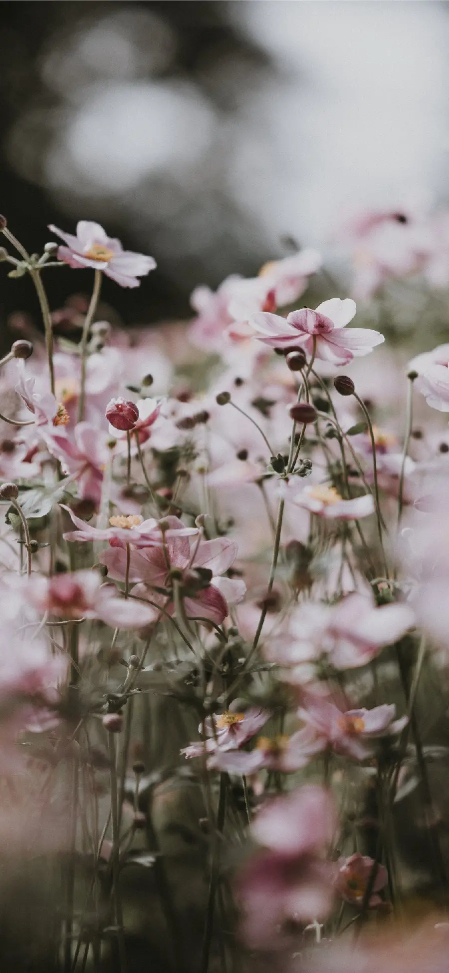 Spring Pastel