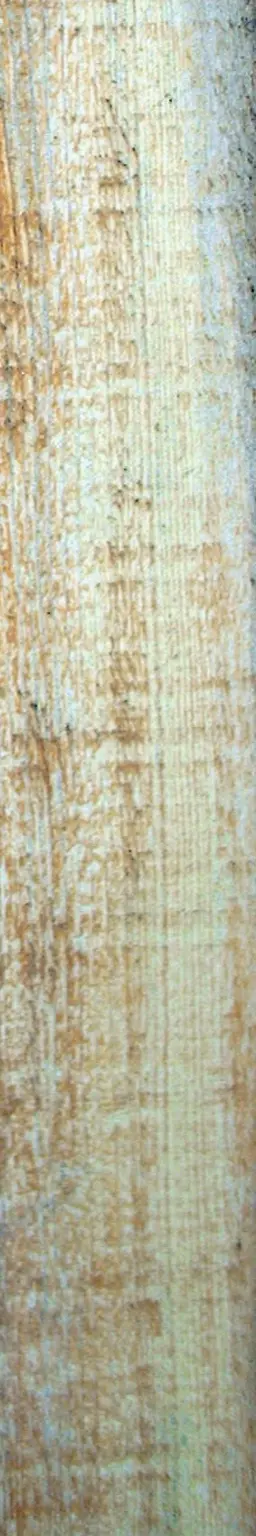 Free white wooden board photo download