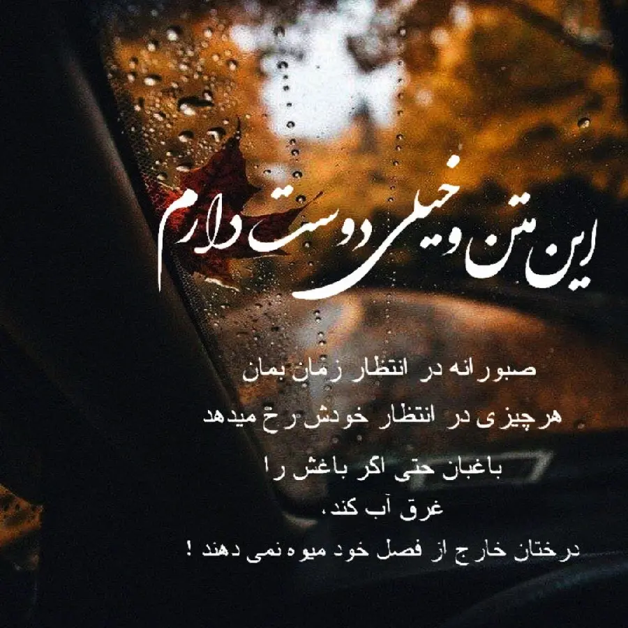 Profile photo with romantic text and I love you
