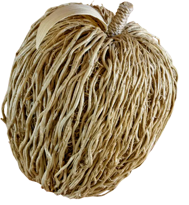Apple PNG Photo Made with Tree Roots