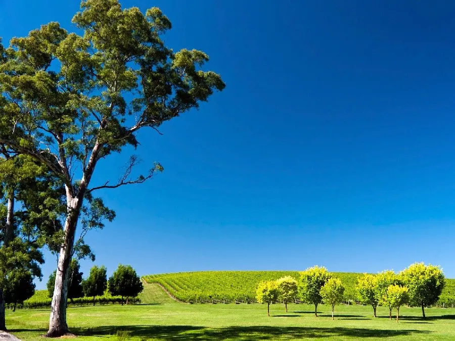 High quality and free photo of the lush Australian plains