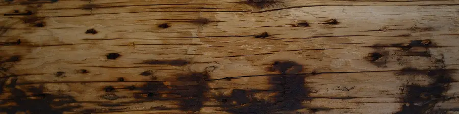 Wooden Timber