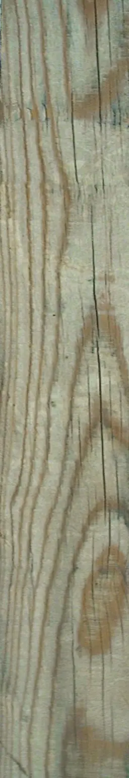 Wood plank