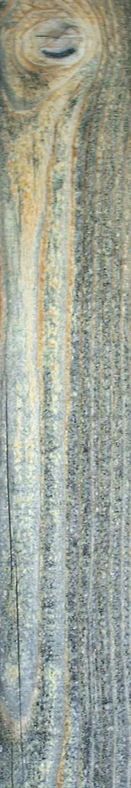 Wooden Plank