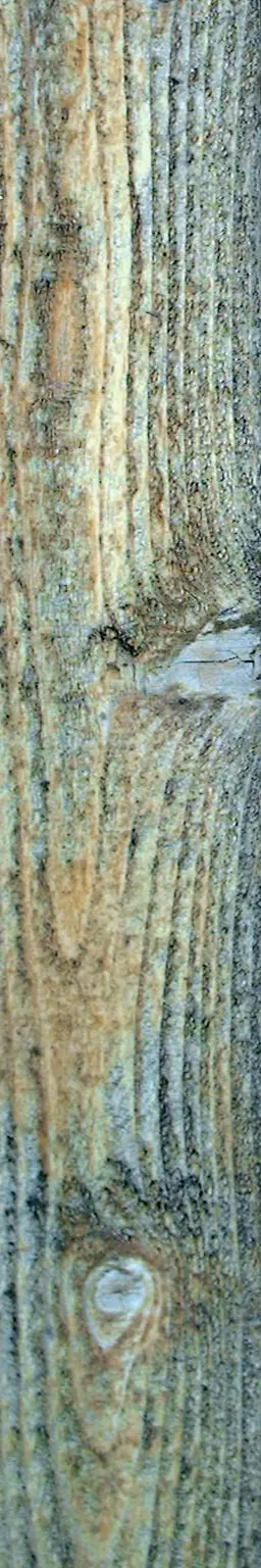 Wood plank