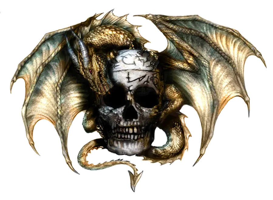 Dragon Profile Picture PNG