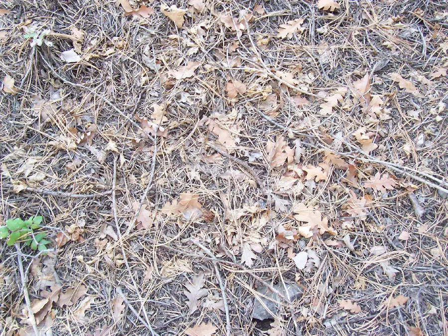 Materials of the earth and natural features