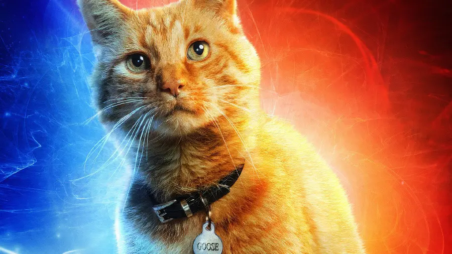 Captain Marvel Goose