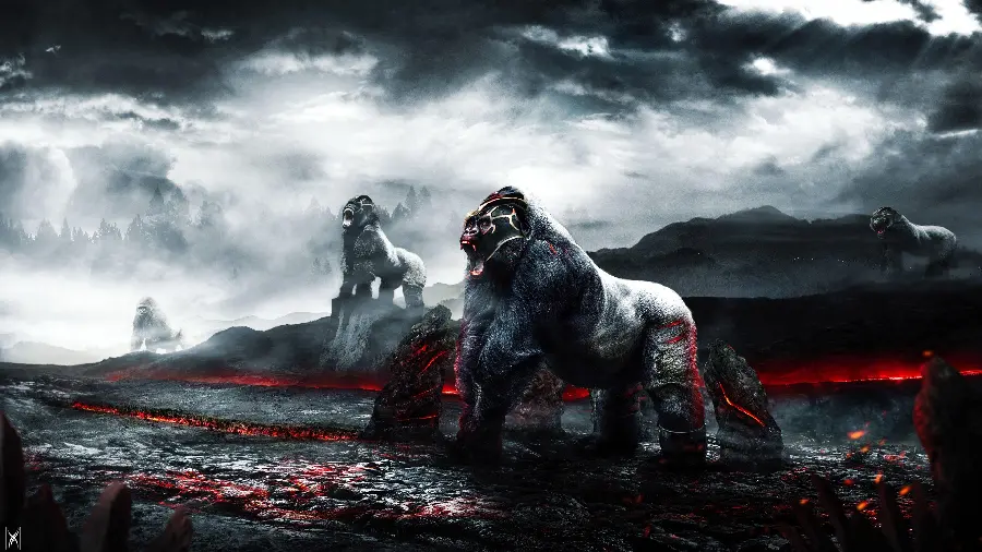 Angry gorillas photo for wallpaper