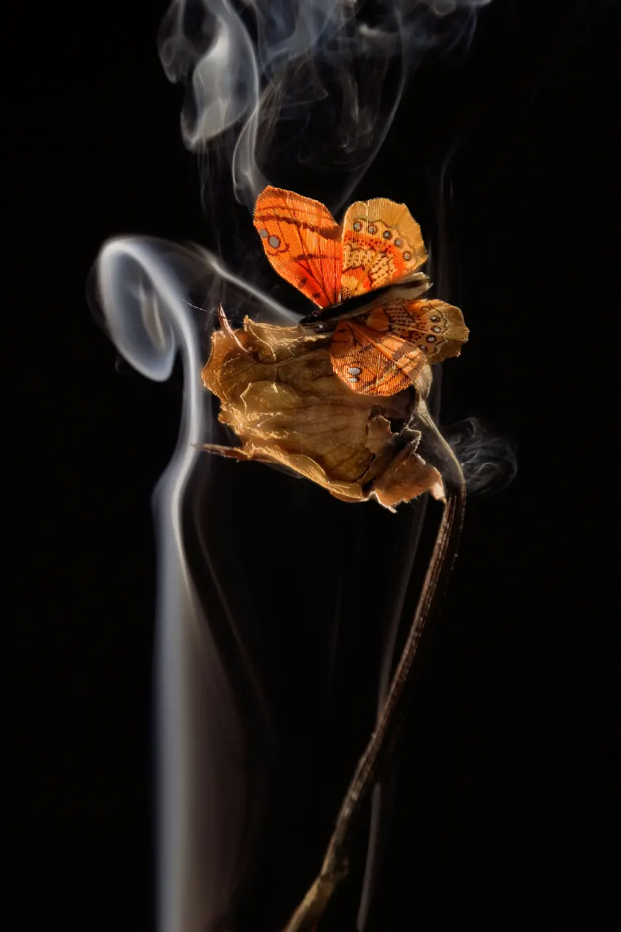 Smoke Background