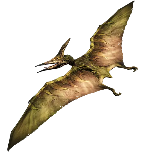 Vector PNG Dinosaur Photo Wild Bird